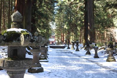 Tokyo/Yamanashi Winter Travel