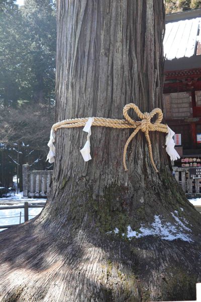 Tokyo/Yamanashi Winter Travel