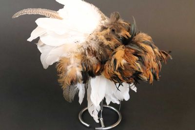 Feather In His Cap