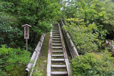 Kyoto Summer Solo