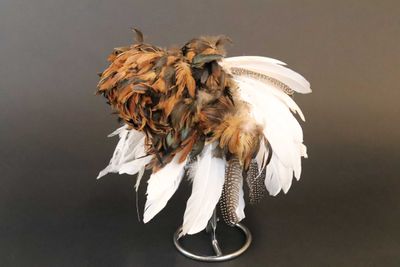 Feather In His Cap