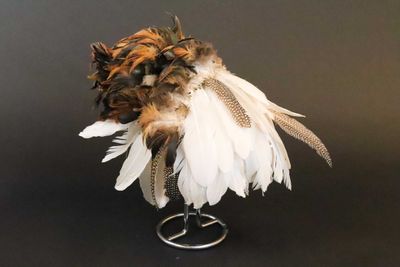 Feather In His Cap