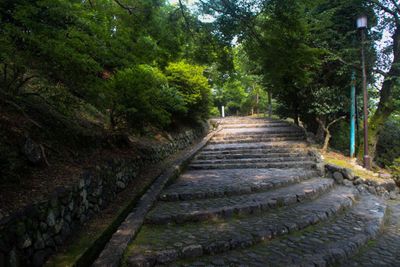 Kyoto Summer Solo
