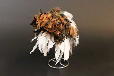 Feather In His Cap
