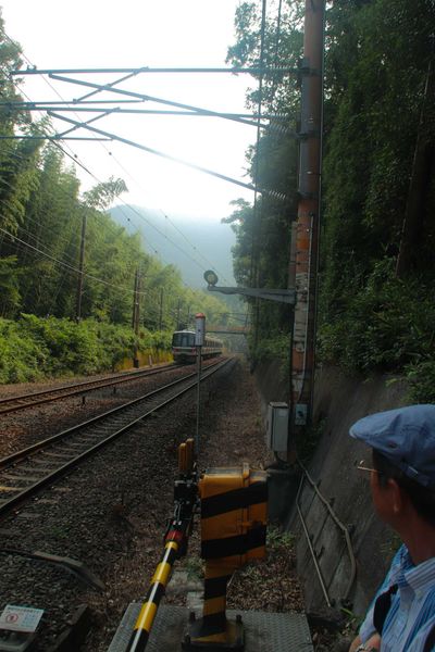 Kyoto Summer Solo