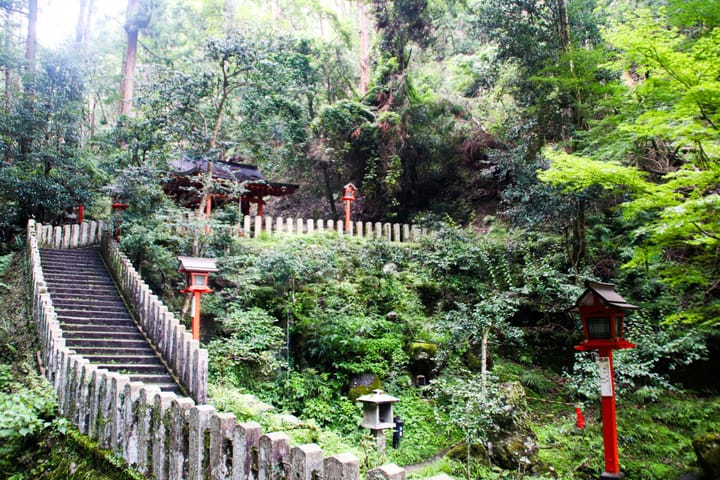 Thumbnail image for Summer in Kyoto album