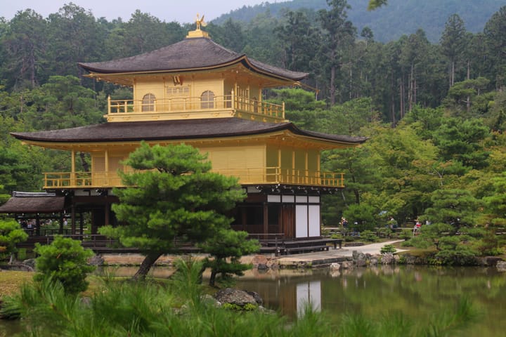 kinkakuji temple, gold leaf covered temple on a pond obscured by a tree, thumbnail