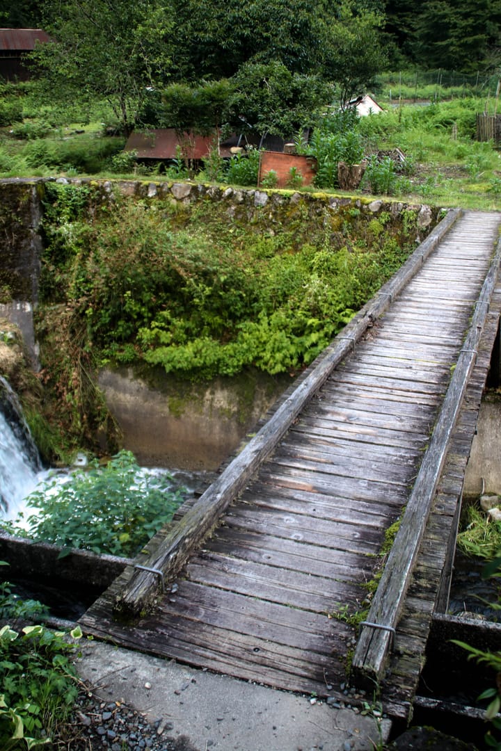 a summer country side scene with a flat wooden foot bridge going across a river to a lush green garden, thumbnail