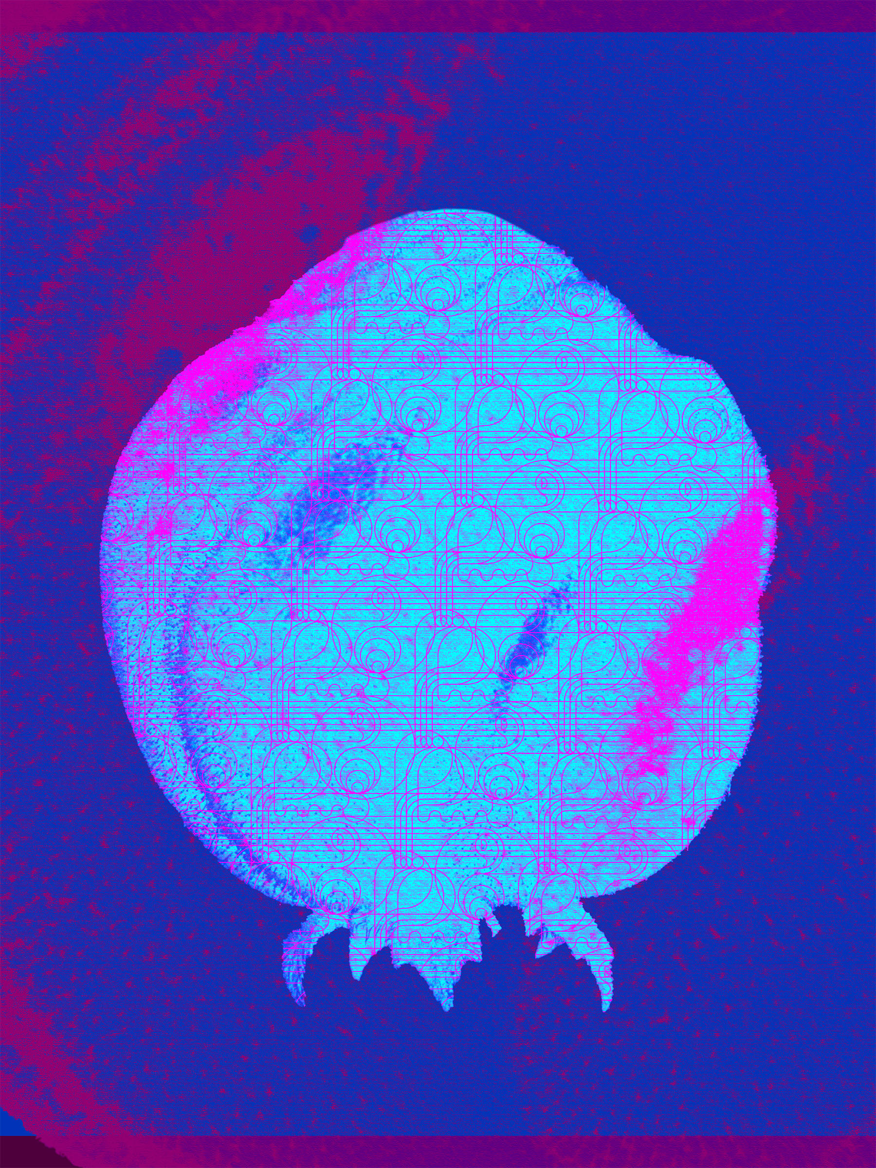 Berry or Seedling with pattern overlayed on top, on dark blue background